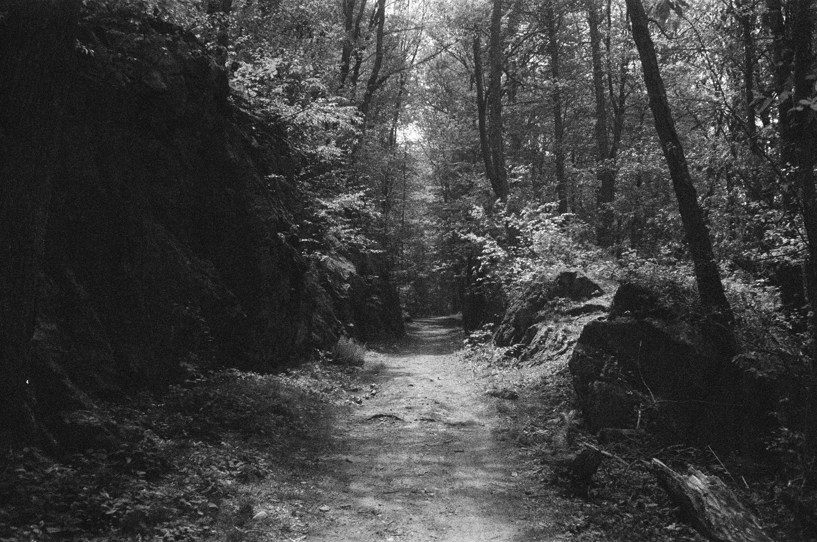 A very grainy black and white photo of a trail in the woods flanked by bolders