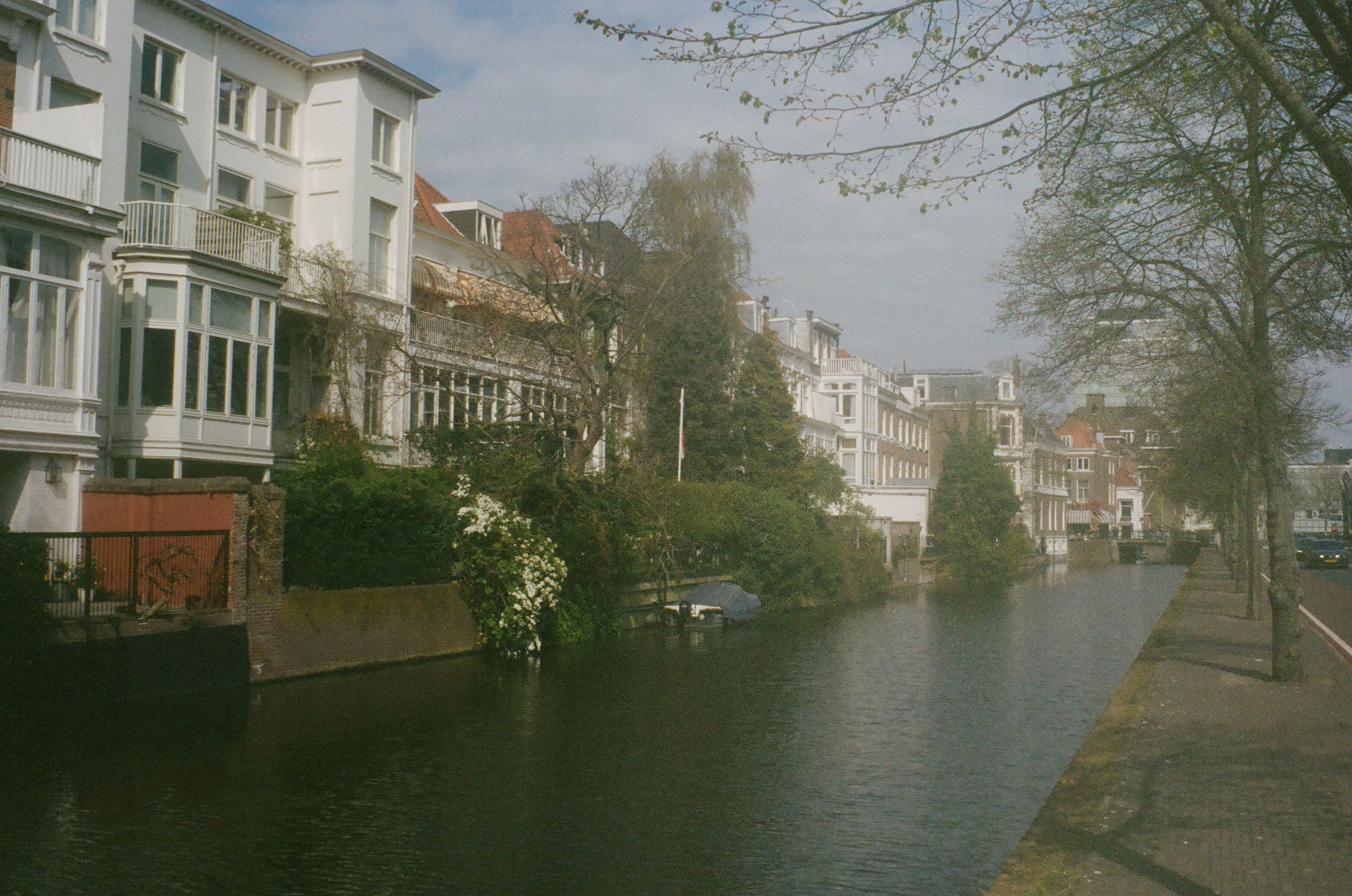 An angled composition of a canal, flowers, and dutch buildings over them in the Hague, the Netherlands