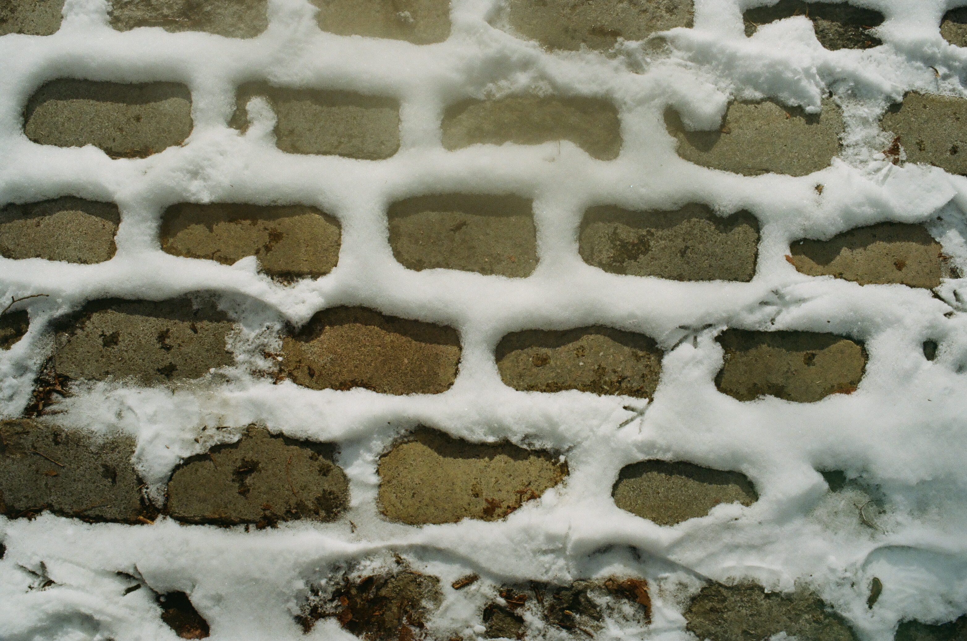 some repeating sidewalk stones with snow between them and bird tracks across the snow